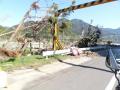 DSC01142_convert_20111031184503.jpg