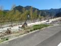 DSC01144_convert_20111031184638.jpg