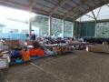DSC01169_convert_20111031174422.jpg