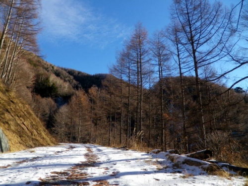 131201eboshidake.jpg