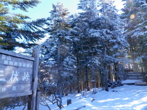 131201eboshidake (8)