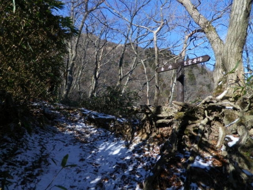 131214kamagatake (3)
