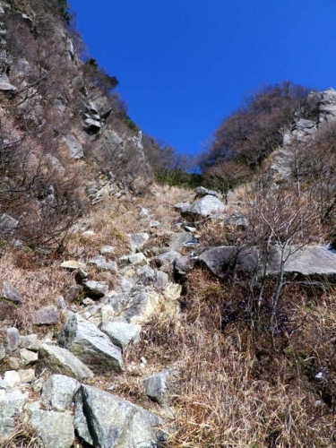 131214kamagatake (6)