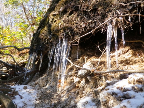 131214kamagatake (4)