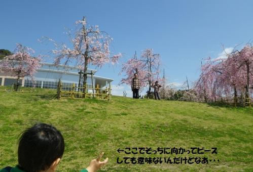 IMGP0370.jpg