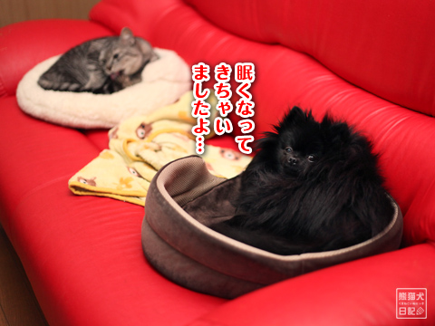 20130202_何もない夜6