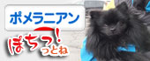 にほんブログ村