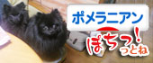 にほんブログ村