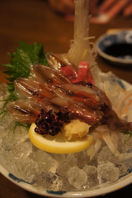 hokuriku29.jpg