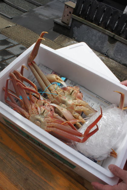 hokuriku59.jpg