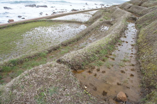 hokuriku64.jpg