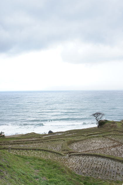 hokuriku66.jpg