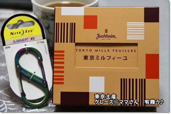 桜見物 サロングレース@
