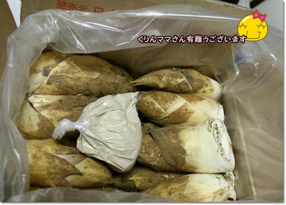 くりんママさんから 竹の子