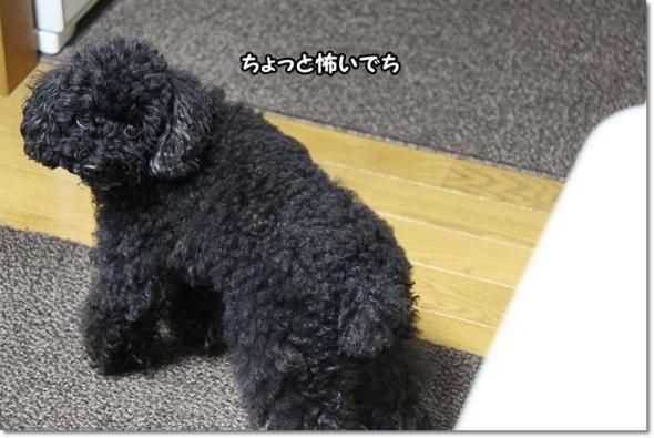 ホームベーカリー
