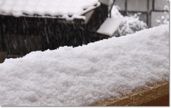 積雪