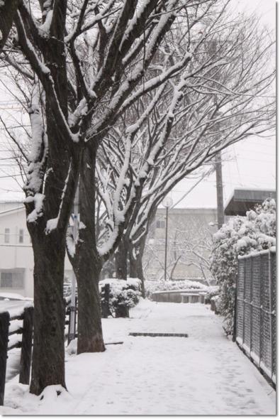 積雪