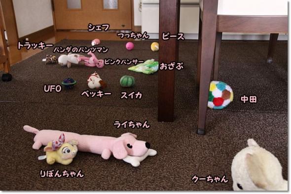 玩具 持って来いゲーム