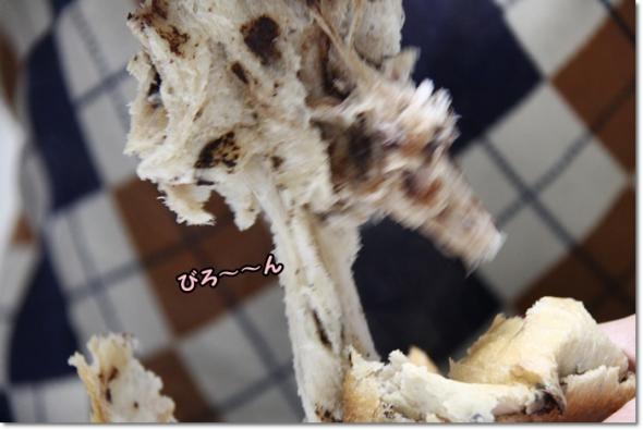 HB チョコパン 試作3号