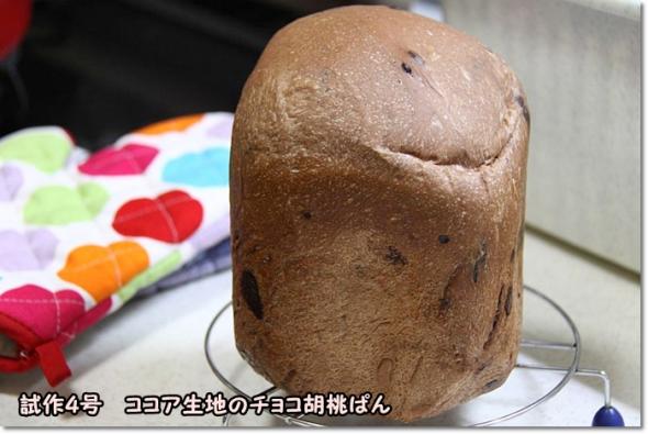 HB ココア風味のチョコ胡桃パン 試作4号