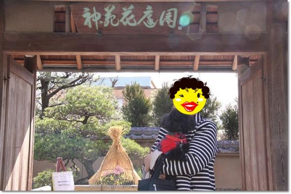箱崎宮 ぼたん祭り