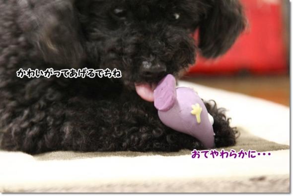 ぷっちママさんから 二周年記念品
