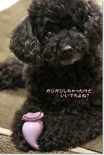 ぷっちママさんから 二周年記念品