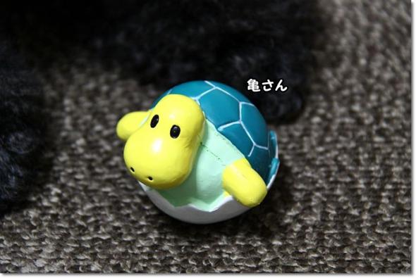 かおりさんから 玩具 亀さん