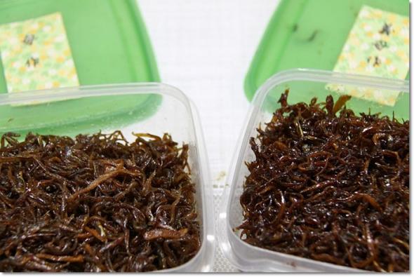 みんみんさんから 釘煮
