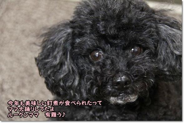 みんみんさんから 釘煮