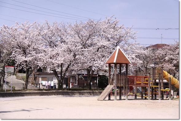 桜と桃