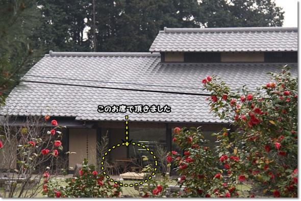 やまもも ランチ 桜
