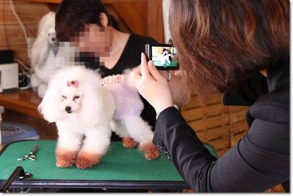 サロングレース 取材