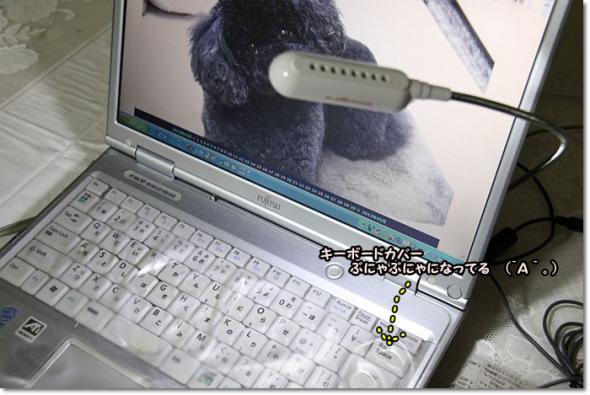 パソコン USBライト
