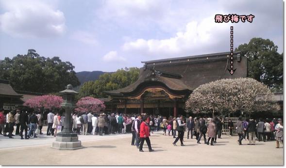 お彼岸 天満宮 枝垂れ梅