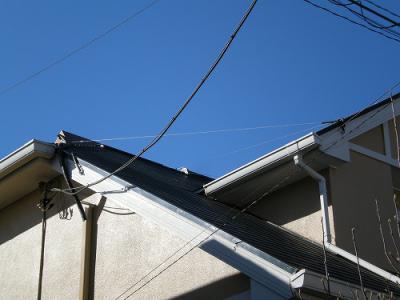 DSCN1354.jpg