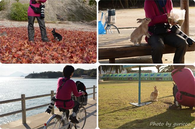 Jb-20141129-132200.jpg