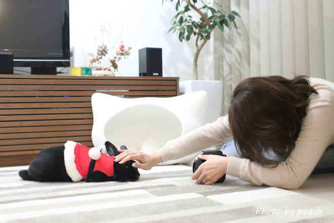 Jb-20141221-7n.jpg