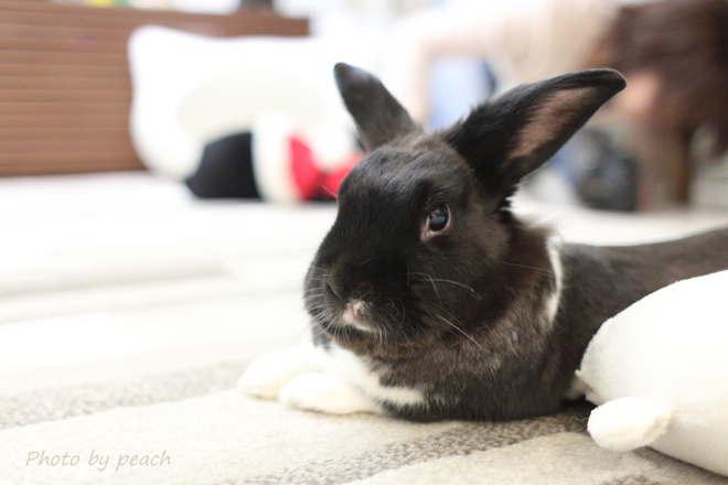 Jb-20141221-7o.jpg