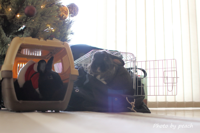 Jb-20141223-4f.jpg