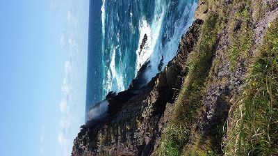 20140925_151445.jpg