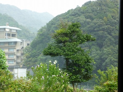 P1150343.jpg