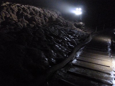 P1150421.jpg