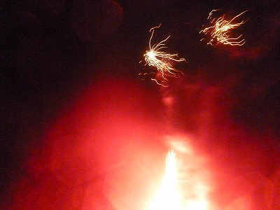 P1150596.jpg