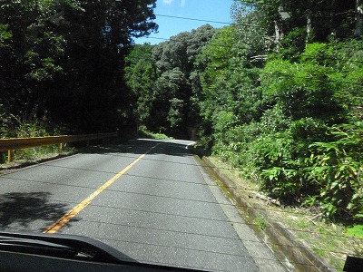 P1150650.jpg