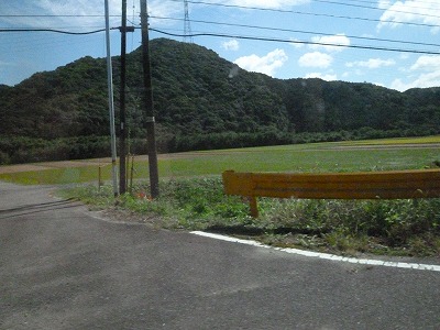 P1150652.jpg