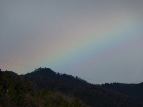 P1000356.jpg