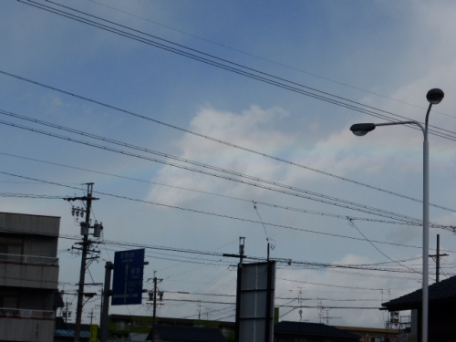 P1000357.jpg