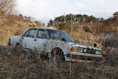 ブルーバード
