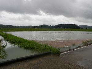 s-P9180006.jpg